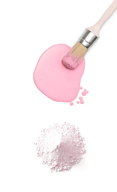 Fusion Milk Paint bag in Palm Springs Pink